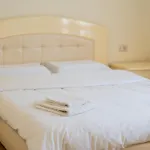 Prestigious Spacious Historical Apartment In City Center